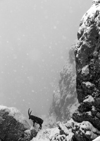 photo vercors noir et blanc Philippe Imbert